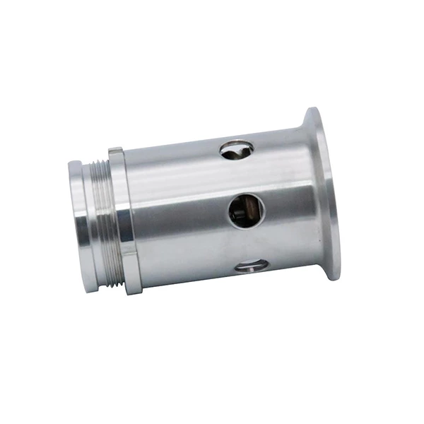 Sanitary Stainless Steel Male Pressure Vacuum Relief Valve