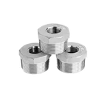 Factory Supply Stainless Steel Threaded Pipe Fittings Bushings for Adapter