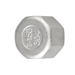 Stainless Steel Pipe Fitting Hex Plug Casting Parts for Connection